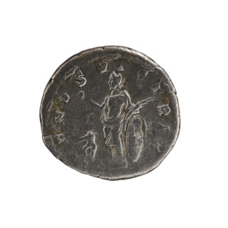 Denarius, Plautilla (ca. 185–212; Roman empress 202–205). Obverse: PLAVTILLA AVGVSTA — bust of