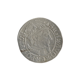 Gdansk grosz, Sigismund II Augustus (King of Poland; 1544–1572), Jagiellon dynasty. Obverse: