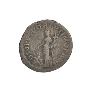 Denarius; Obv.: head of Trajan decorated with a laurel wreath facing right; rim inscription: IMP