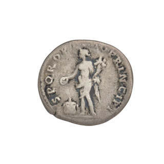 Denarius, Trajan (53–117; Roman emperor 98–117). Obverse: bust of Trajan facing right, wearing a
