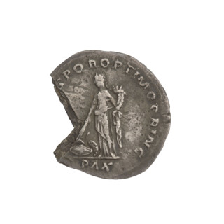 Denarius of Trajan (53–117; Roman emperor 98–117). Obverse: head of Trajan right, decorated with a