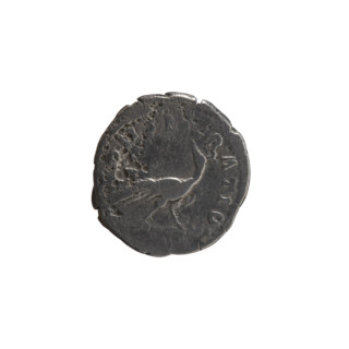 Denarius, posthumous issue for Faustina the Elder (98–141; Roman empress 138–141), issued under
