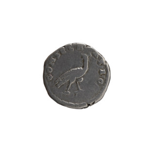 Denarius, posthumous issue for Faustina the Elder (98–141; Roman empress 138–141), issuer Antoninus
