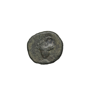 Bronze coin of Gotarzes II (king of the Parthians; 40–51). Obverse: diademed head of Gotarzes II