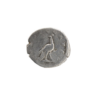 Denarius, Faustina the Younger (ca. 130–176; Roman empress 161–176) (posthumous), Marcus Aurelius