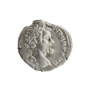 Denarius of Septimius Severus (146–211; Roman emperor 193–211). Obverse: Head of Septimius Severus