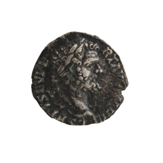 Denarius of Septimius Severus (146–211; Roman emperor 193–211). Obverse: Head of Septimius Severus