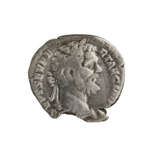 Denarius; Roman deities; panthers; Liber; thyrsus. Obv.: L. SEPT. SEV. PERTAVG. IMP. III — Head of