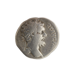 Denarius, Roman deities; Liber (mythology); animals; panthers; Septimius Severus (Roman emperor;