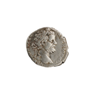 Denarius depicting head of Septimius Severus in a laurel wreath facing right, legend L SEP, SE,