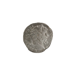 Denarius; Roman deities; wreaths; palm branches; Septimius Severus (Roman emperor; 146–211) —