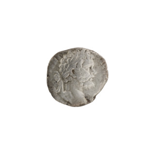 Denarius; Obv.: PERT AVG, head of Septimius Severus in a laurel wreath facing right. Rev.: COSIIP