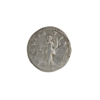 Denarius; obverse: head of Septimius Severus with laurel wreath facing right, pearl rim, legend