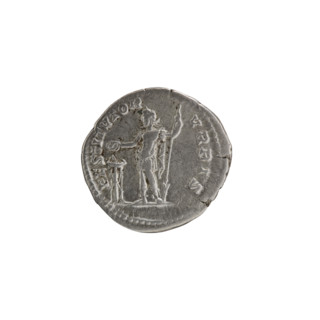 Denarius, obverse: head of Septimius Severus with laurel wreath facing right, pearl rim, inscribed