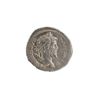 Denarius of Septimius Severus (Roman Emperor, 146–211). Obverse: Head of Septimius Severus with