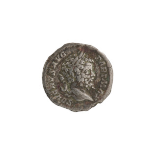 Denarius, Septimius Severus (Roman Emperor; 146–211) — Obverse: SEVERVSAVG PARTMAX. Head of