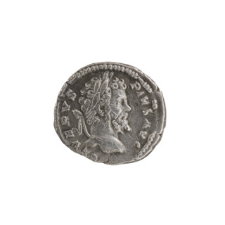 Denarius, Septimius Severus (Roman emperor; 146–211). Obverse: Head of Septimius Severus in a