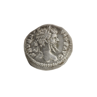 Denarius. Obv.: SEVERVS PIVS — Head of Septimius Severus in laurel wreath facing right, pearl rim.