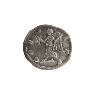 Denarius. Obv.: SEVERVS PIVS. Head of Septimius Severus in laurel wreath facing right, pearl rim.