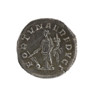 Denarius, Elagabalus (204–222; Roman emperor 218–222). Obverse: Bust of Elagabalus with laurel