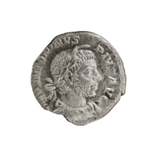 Denarius, Elagabalus (204–222; Roman emperor 218–222). Obverse: IMPANTONINVS PIVS AVG — Bust of
