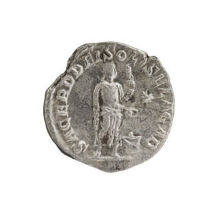 Denarius, Elagabalus (204–222; Roman emperor 218–222). Obverse: IMPANTONINVS PIVSAVG — Bust of