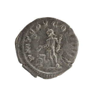 Denarius, Elagabalus (204–222; Roman emperor 218–222). Obverse: IMPANTONINVSPIVSAVG — Bust of
