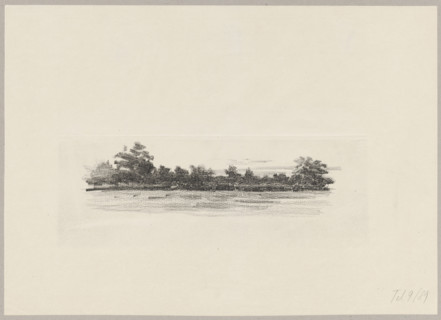 Zagajnik, Wyczólkowski, Leon (1852-1936), graphic artist; Pruszynski, Aureliusz (Kraków ; artistic