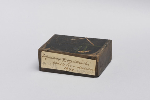 Bookplate of Zygmunt Grünstein; verso: fragment of a bookplate; Lopienski, Ignacy (1865–1941),