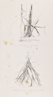 1) Tree trunk on the island of Tuaimaiduba, December 30, 1842; 2) Roots of the passuiba palm on the
