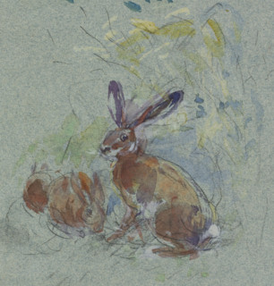 Studies of partridges, woodcocks, hares; verso: studies of roe deer, hares, and partridges in a