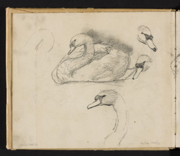 Sketches of swans for the painting 'Pond in Radziejowice' (1898); on both sides, Józef Chelmonski