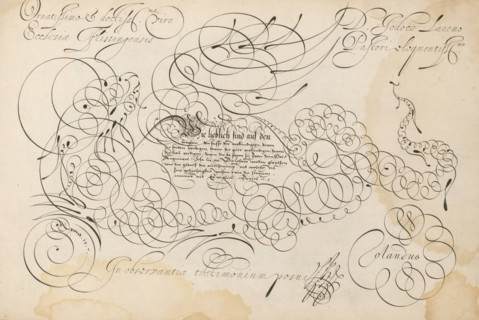 Writing sample with a dragon in scrollwork, 't Magazin oft pac-huys der loffelycker penn-const,