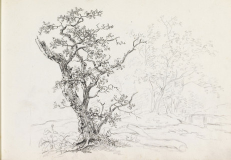 Landscape with trees, sketchbook page, In the background a bridge over water. Page 32 recto from a