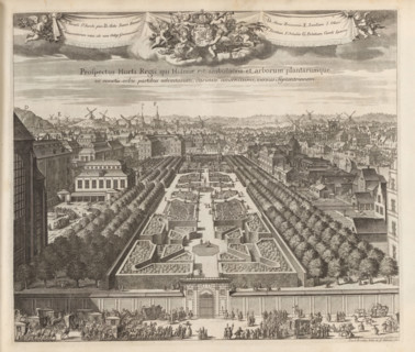 Prospectus amœnissimi Horti Regii qui Holmiae est, versus meridiem, View of the Kungsträdgården in