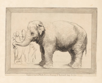Elephant with bystanders, print, album page, printmaker: William Baillie, after drawing by