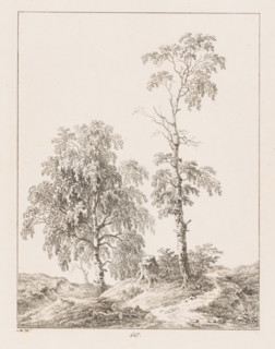 Tree stump between two trees, Templates for Landscape Drawers, Examples for the landscape artist,