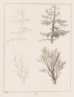 Silhouettes of treetops, Templates for Landscape Drawers, Examples for the Landscape Artist, print,