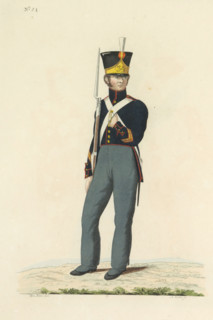 Fuselier of the Garrison Battalion, print, A Dutch fusilier of Garrison Battalion No. 34. Plate 24.
