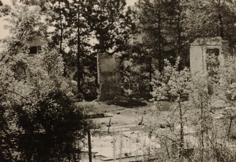 Part of a ruin, surrounded by dense vegetation of trees and shrubs, photograph, surrounded by dense