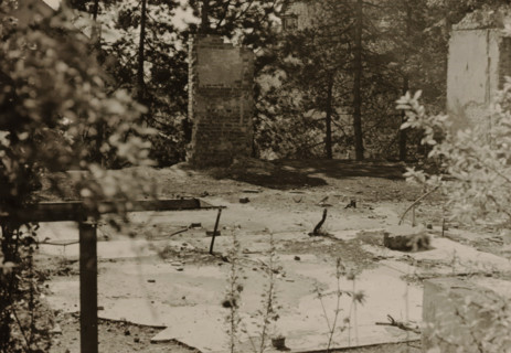 Part of a ruin, surrounded by dense vegetation of trees and shrubs, photograph, surrounded by dense