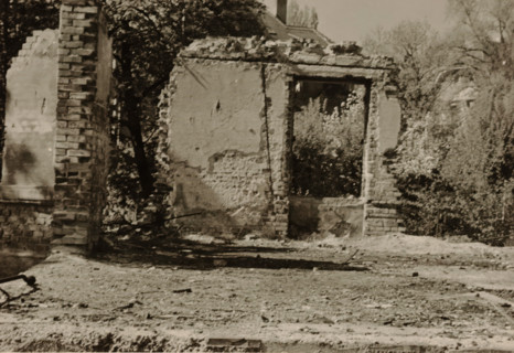 Part of a ruin, with an overgrown wall containing a doorway and bushes surrounding it, with a