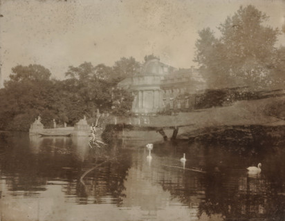 Country house on the bank of a body of water where swans are swimming, with trees in the