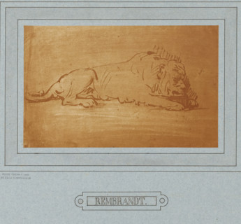 Photo reproduction of a drawing by Rembrandt (lion), photograph, photographer: Adolphe Braun & Cie