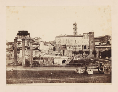 Roman Forum in Rome, Roman Forum (Roma), photograph, number: 'No. 1019.', c. 1875 - c. 1900,