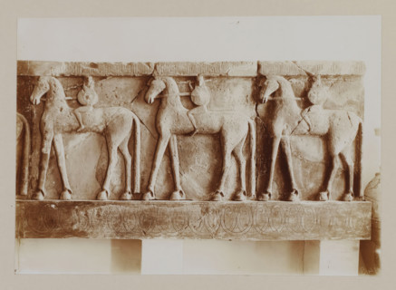 Frisian with warriors on horses, in a museum in Crete, photograph, At the bottom right the number