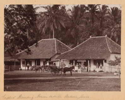 English boarding houses outside Batavia (present-day Jakarta), Java, Dutch East Indies, photograph,