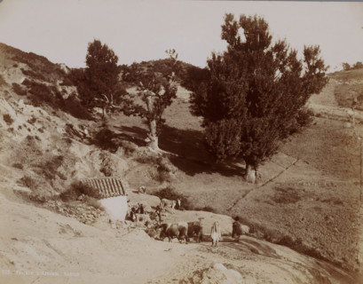Landscape with Berbers ?, Kabylie, Morocco, photograph, Note: ? Afensou is a city in Morocco,