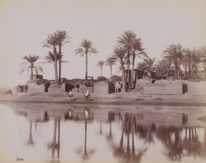 Landscape with water, palm trees and buildings, Middle East, photograph, Middle East., inscription: