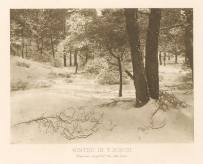 Winter in 't Bosch, Forest view with snow, page, photomechanical print, photographer: Adriaan Boer,